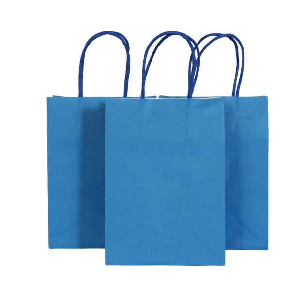 Sacs cadeaux bleus x10