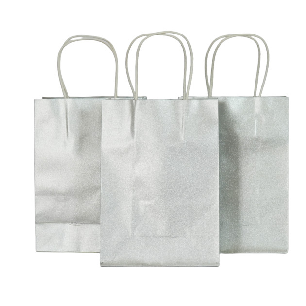 Sacs cadeaux silver pailletés x10